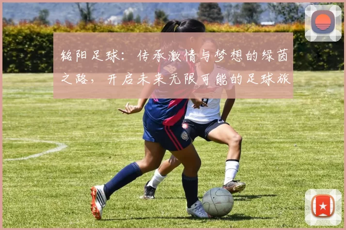 铭阳足球：传承激情与梦想的绿茵之路，开启未来无限可能的足球旅程