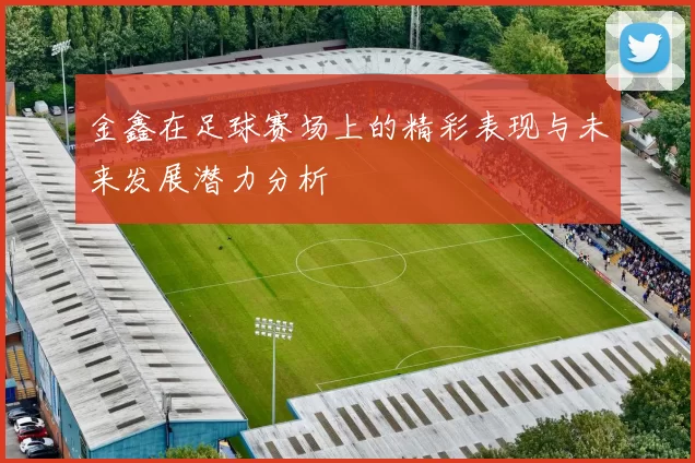 金鑫在足球赛场上的精彩表现与未来发展潜力分析