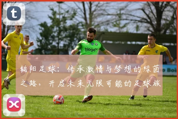 铭阳足球：传承激情与梦想的绿茵之路，开启未来无限可能的足球旅程