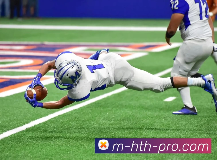 华体会平台生态图