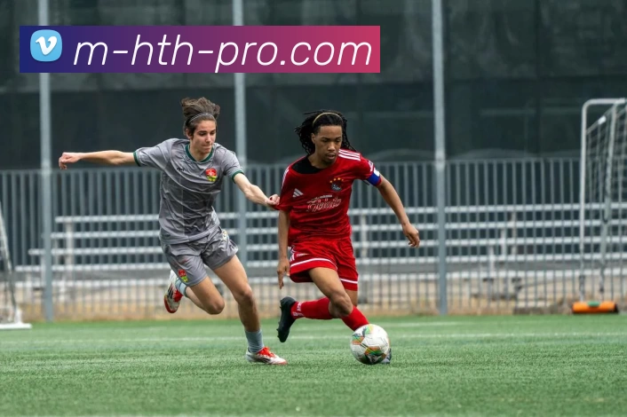 华体会APP 封面图